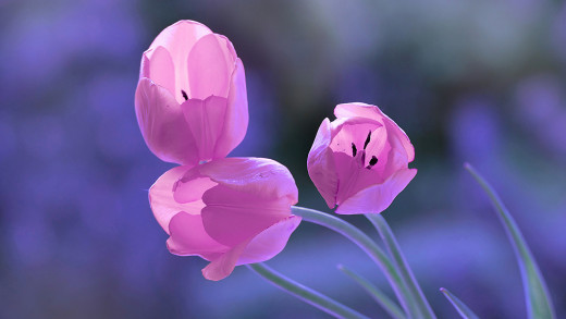 1058834 (a): :2048x1152